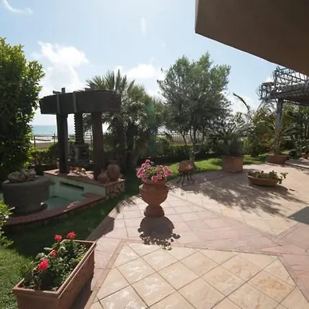 Agapantus 3* Диаманте
