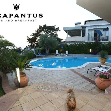 Agapantus Диаманте