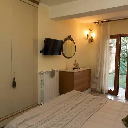 Agapantus 3* Диаманте